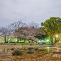 夜景 名城公園彫刻の庭 水広場 March 2020