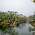 白鳥庭園 英傑島と徳川橋 March 2020