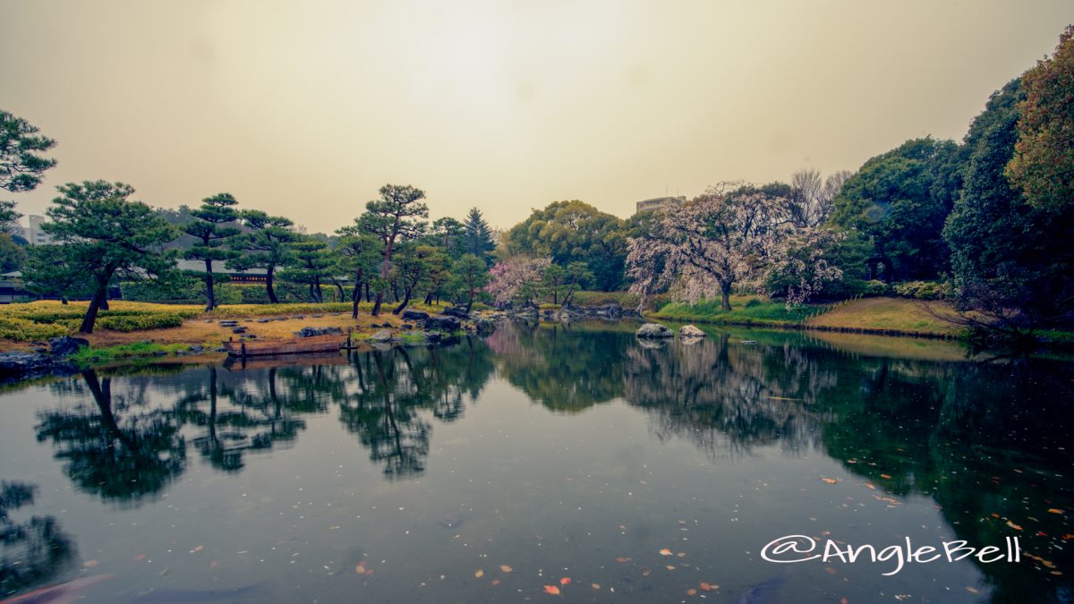 白鳥庭園 遊濱亭前から見る水郷の景 March 2020