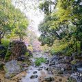 雨天 白鳥庭園 滝の景 (木曽橋 渓谷) March 2020