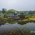 雨天 白鳥庭園 清羽亭 March 2020