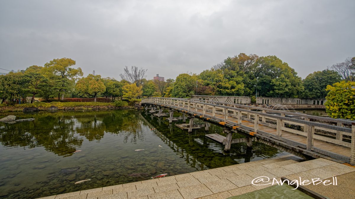 雨天 白鳥庭園 出会橋 March 2020