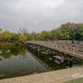 雨天 白鳥庭園 出会橋 March 2020