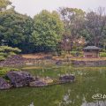 白鳥庭園 中の池 浮身四阿 March 2020