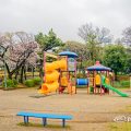 熱田神宮公園 児童園 (へび公園) March 2020