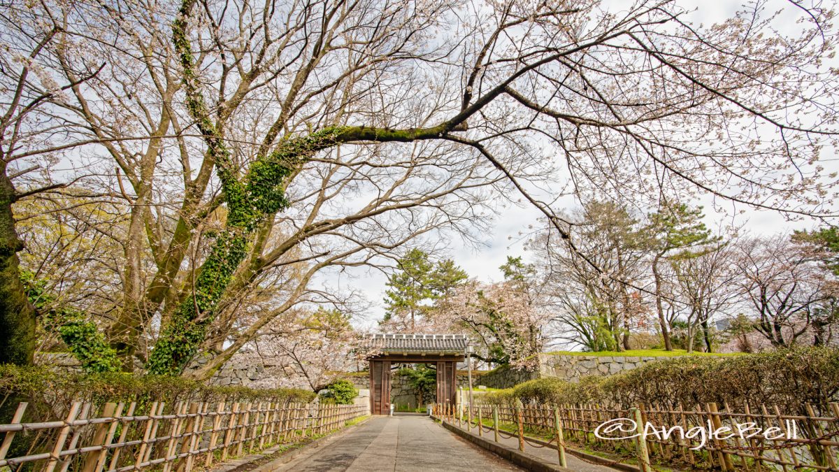 名古屋城 二之丸大手二之門  March 2020