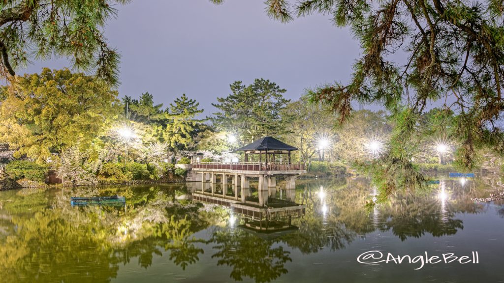 夜景 鶴舞公園 竜ヶ池 浮見堂 2020春