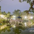 夜景 鶴舞公園 竜ヶ池 浮見堂 2020春