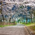 夜景 名城公園 二の丸東駐車場 April 2020