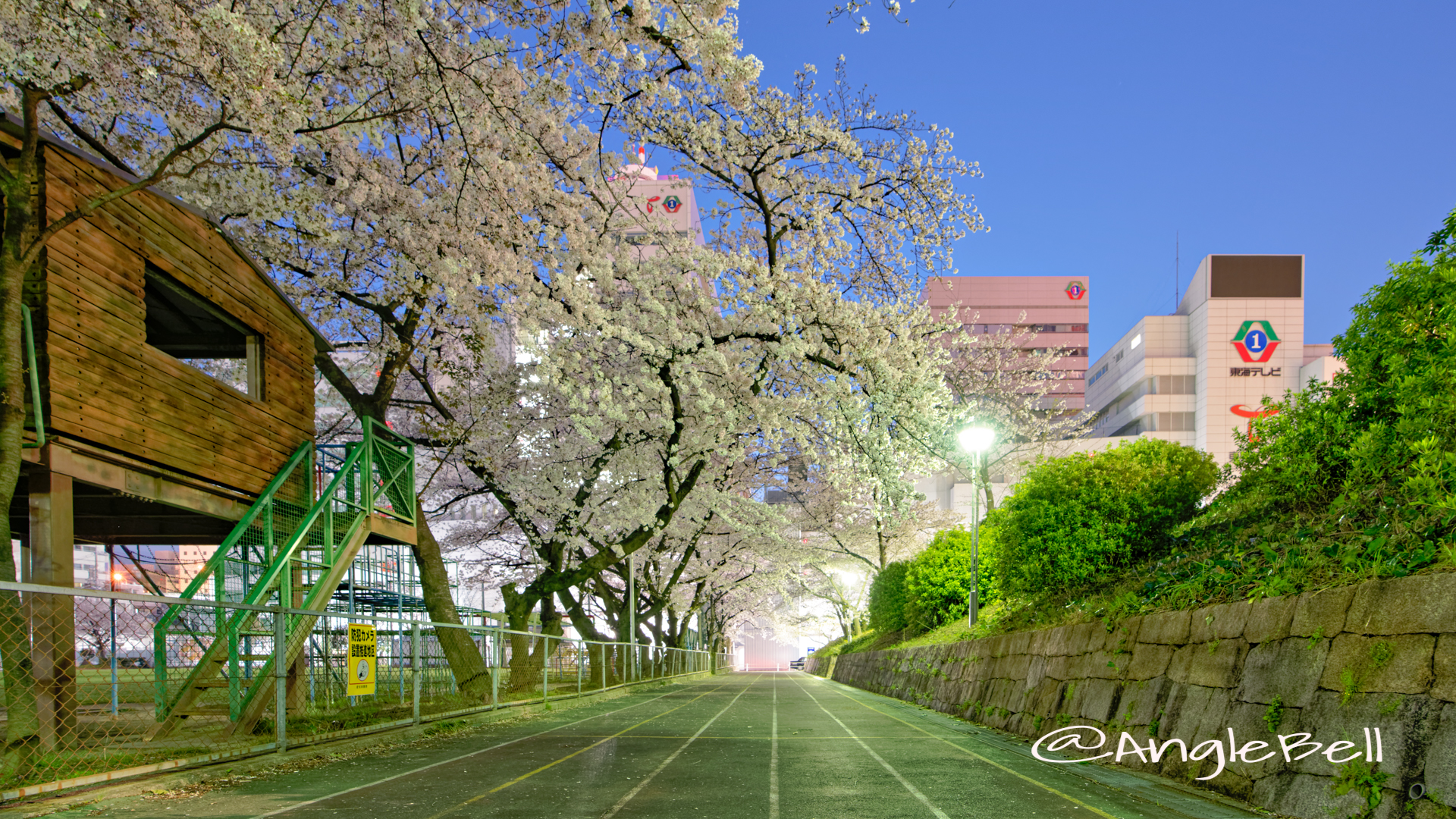 第2号栄公園 (夜景) 園路東側の桜 April 2020