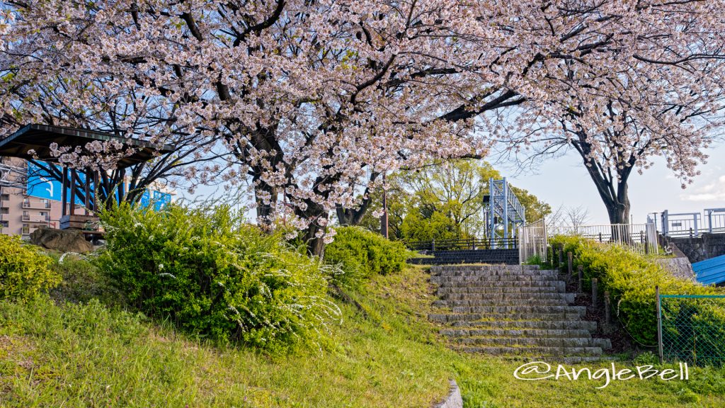 熱田区白鳥 堀川端公園 April 2020