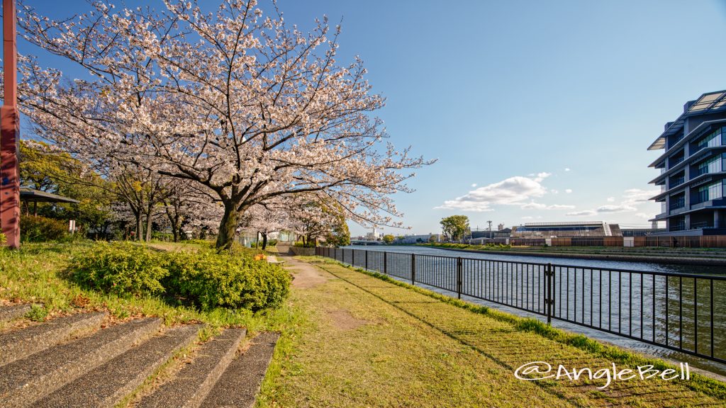 南堀川端公園 堀川沿いの公園 April 2020