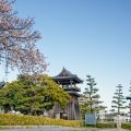 宮の渡し公園 熱田湊常夜灯と桜 April 2020