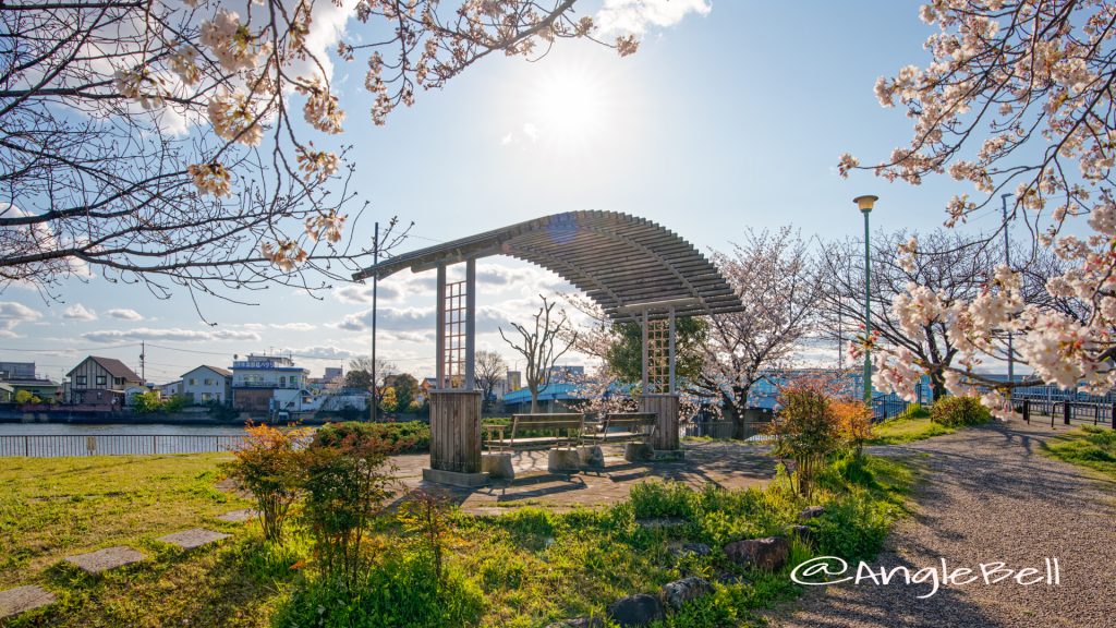 熱田区大瀬子町 大瀬子浜公園 April 2020