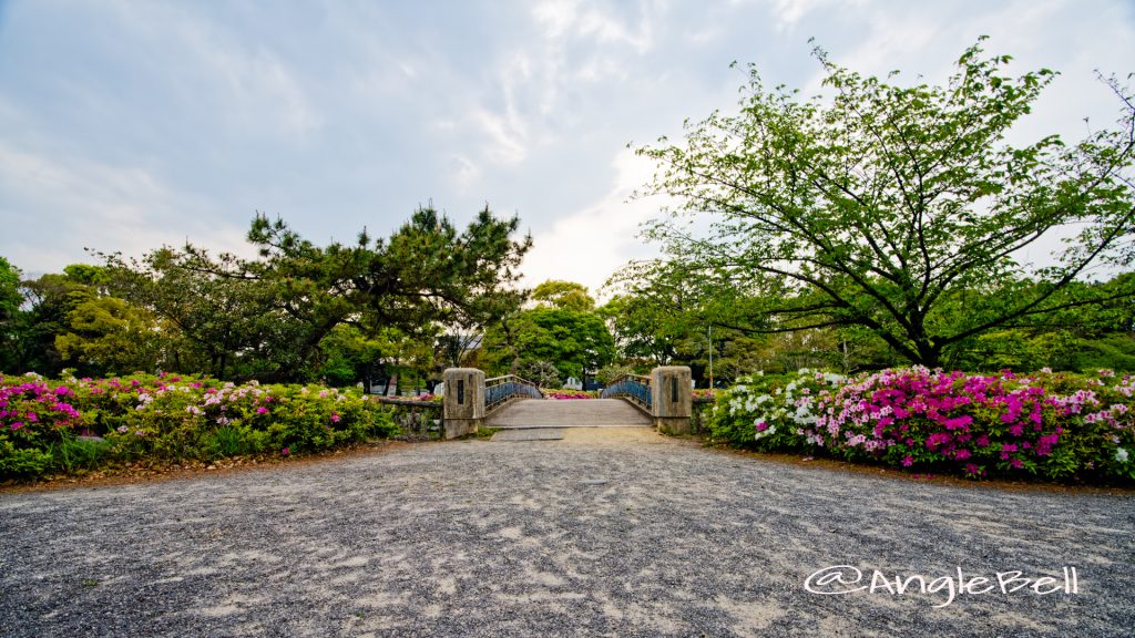 名城公園 御深井橋とツツジ(躑躅) May 2020