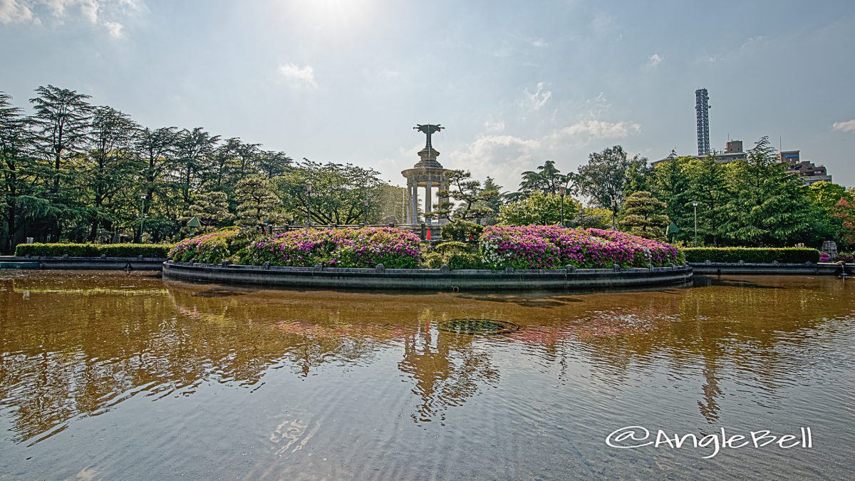 鶴舞公園 噴水塔とツツジ(躑躅) May 2020