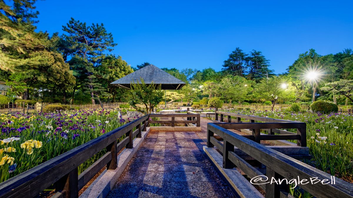 夜景 菖蒲池 (四阿) 鶴舞公園   May 2020