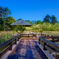 夜景 菖蒲池 (四阿) 鶴舞公園 May 2020