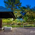 夜景 四阿と菖蒲池 (鶴舞公園) May 2020