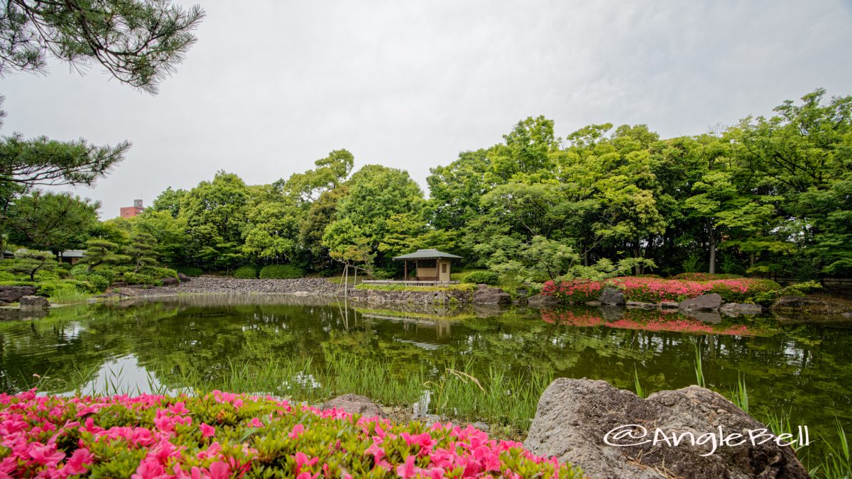 白鳥庭園 中の池 浮見四阿とサツキ June 2020