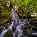 徳川園 大曽根の瀧 June 2020