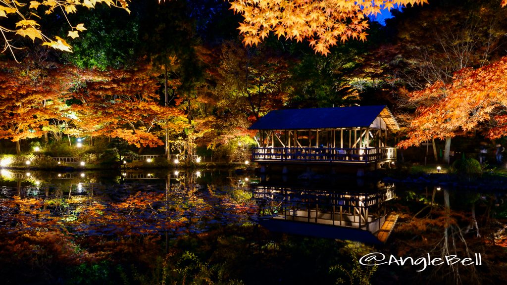 夕景 東山動植物園 奥池 もみじ狩り2017