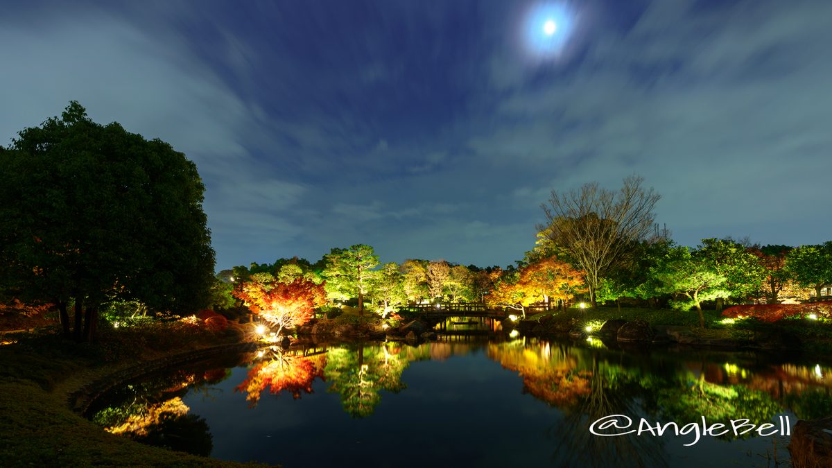 白鳥庭園 海洋の景 ライトアップ2017