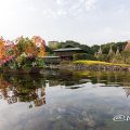 白鳥庭園 清羽亭とあかりアート 2017