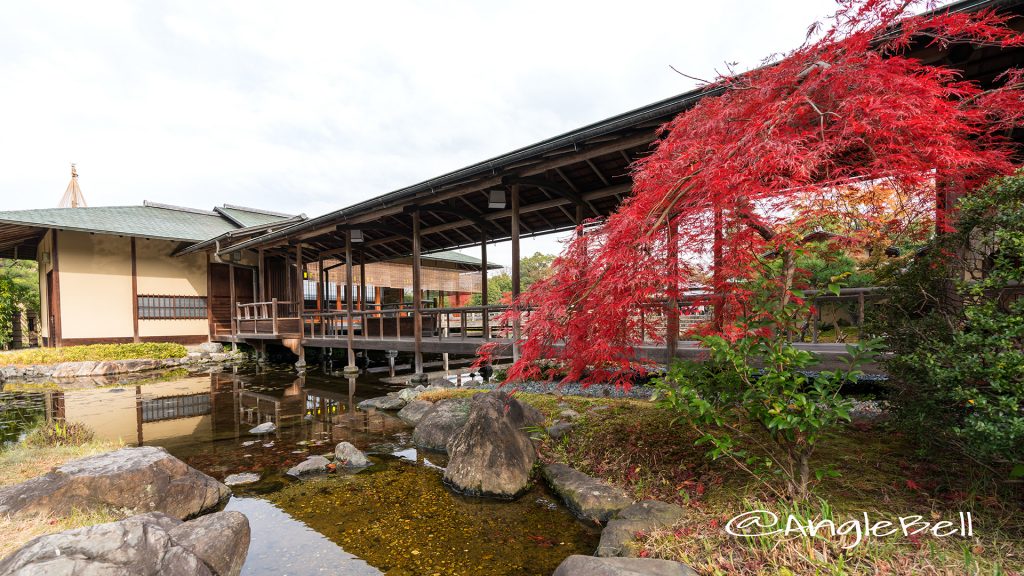 白鳥庭園 茶室 清羽亭 渡り廊下 autumn 2017