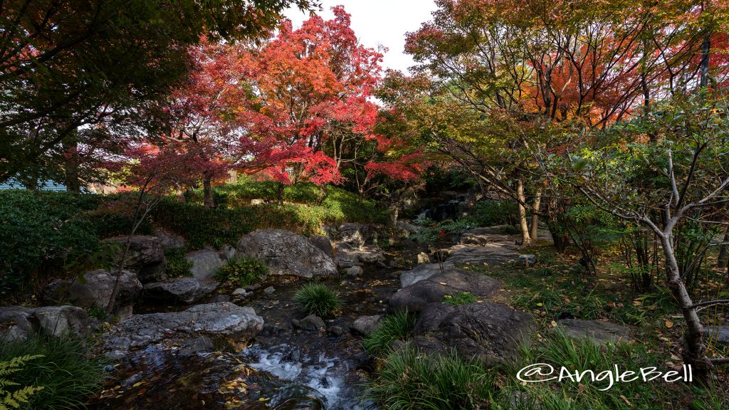 白鳥庭園 渓谷の景 2017