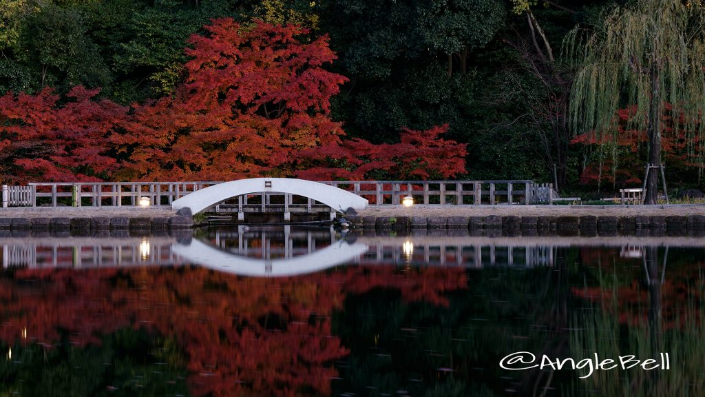 紅葉 名古屋 徳川園 龍仙湖と太鼓橋 2017