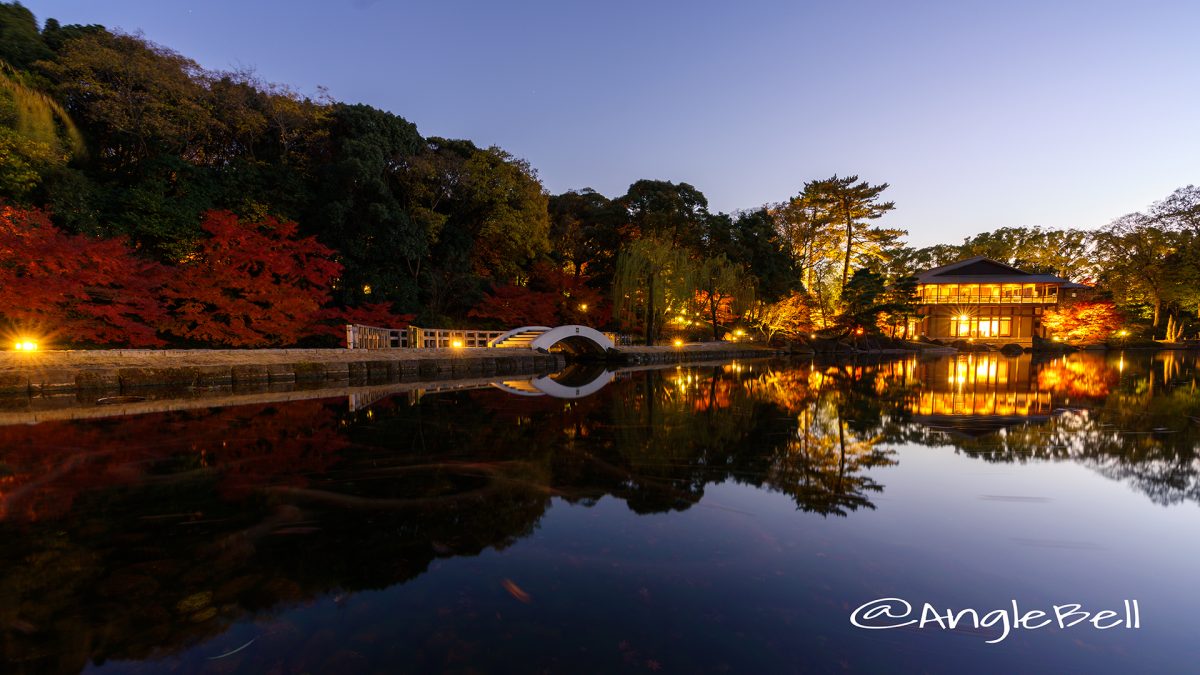 名古屋 徳川園 龍仙湖と太鼓橋 夕景とライトアップ 2017 秋