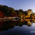 名古屋 徳川園 龍仙湖と太鼓橋 夕景とライトアップ 2017 秋