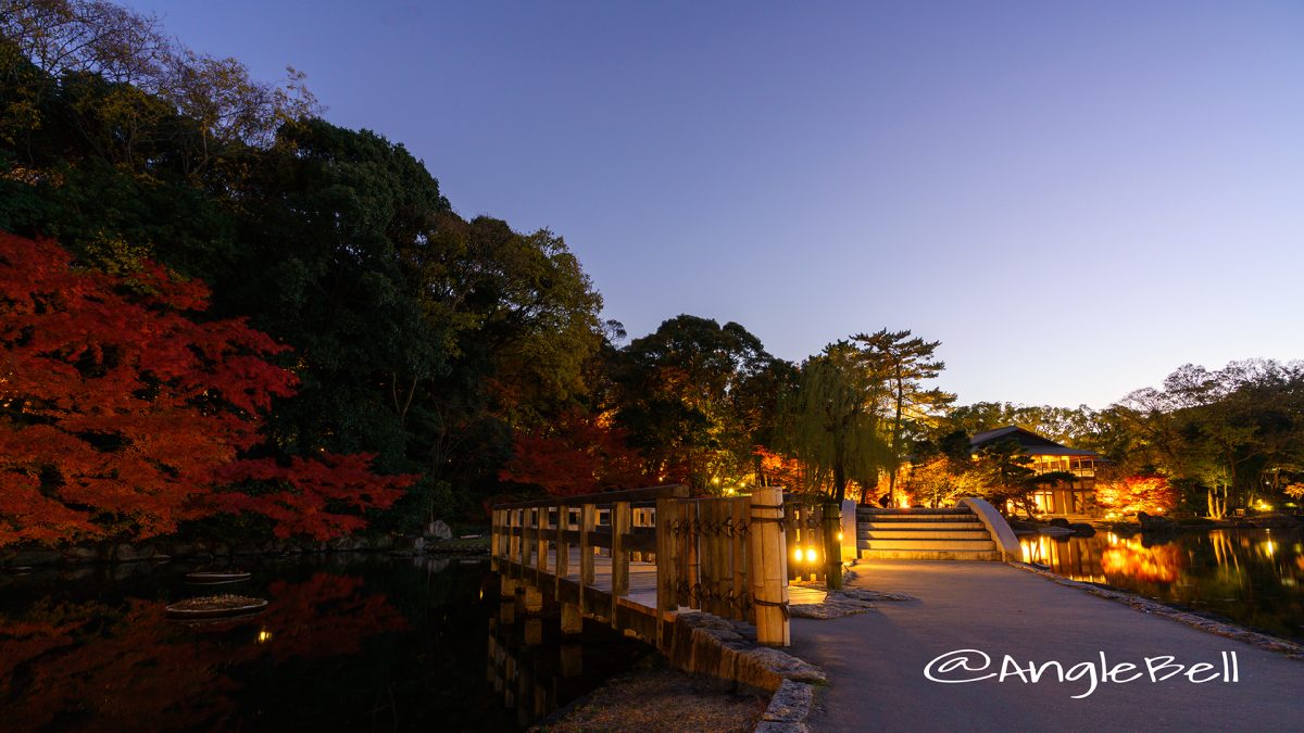 夕景 徳川園夜会 西湖堤 紅葉ライトアップ2017