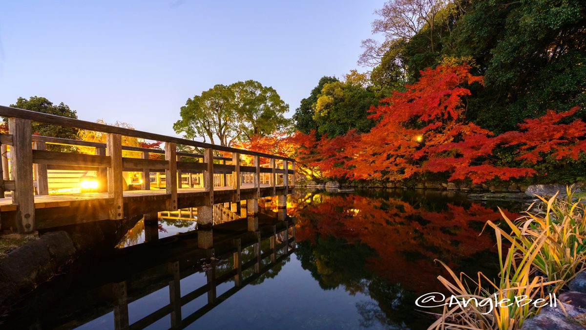 徳川園 西湖堤東側の湖面と紅葉 2017