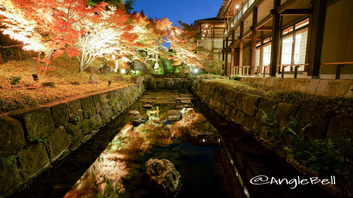 紅葉 名古屋徳川園 龍門の瀧  ライトアップ2017