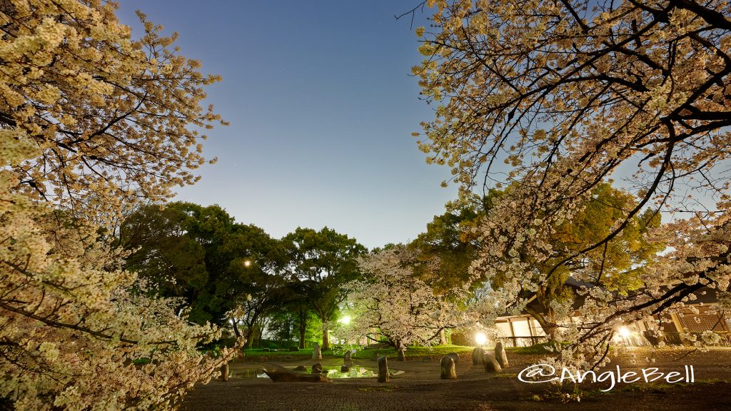 夜景 名城公園彫刻の庭 水広場 March 2018