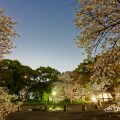 夜景 名城公園彫刻の庭 水広場 March 2018