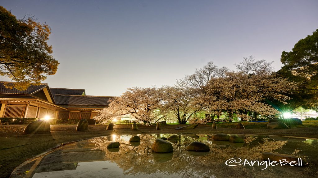 夜景 名城公園彫刻の庭 水広場 March 2018