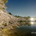 夜景 御深井西橋から見る御深井池(おふけ池) March 2018