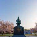 早朝 名城公園 加藤清正像と桜 March 2018