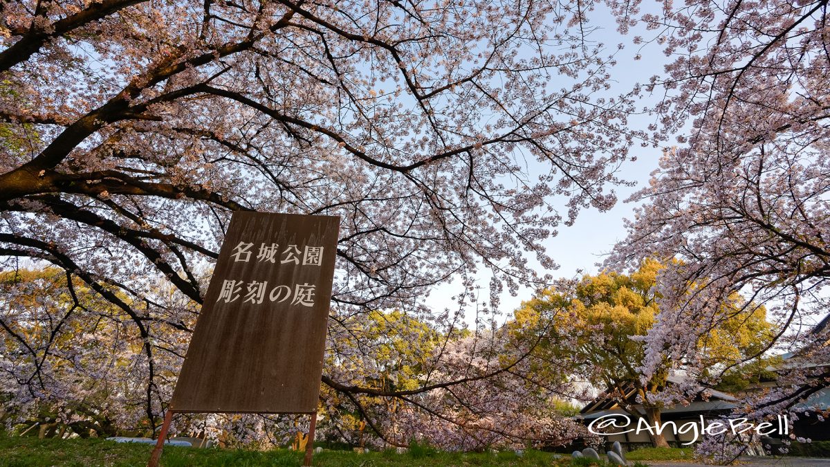 早朝 名城公園 彫刻の庭  March 2018