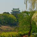 名古屋城と藤の回廊 名城公園 April 2018