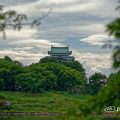 名古屋城 御深井堀 August 2018