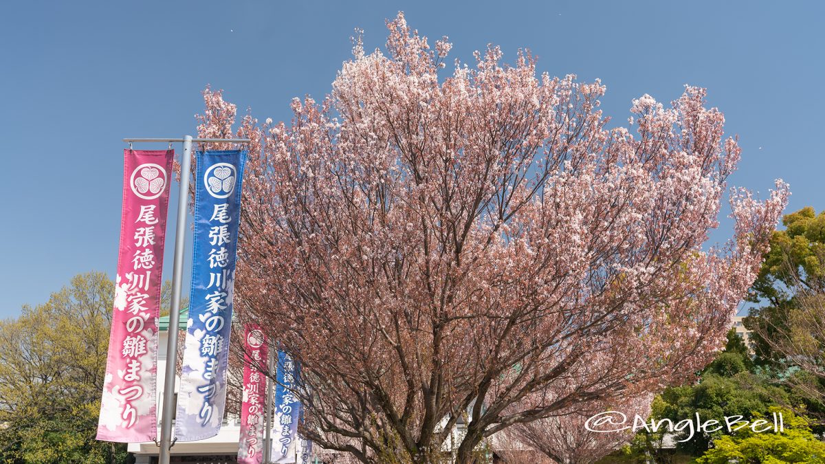 徳川美術館 尾張徳川家の雛まつり2019