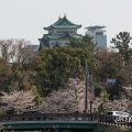 名古屋城 中土戸橋 桜風景 2019