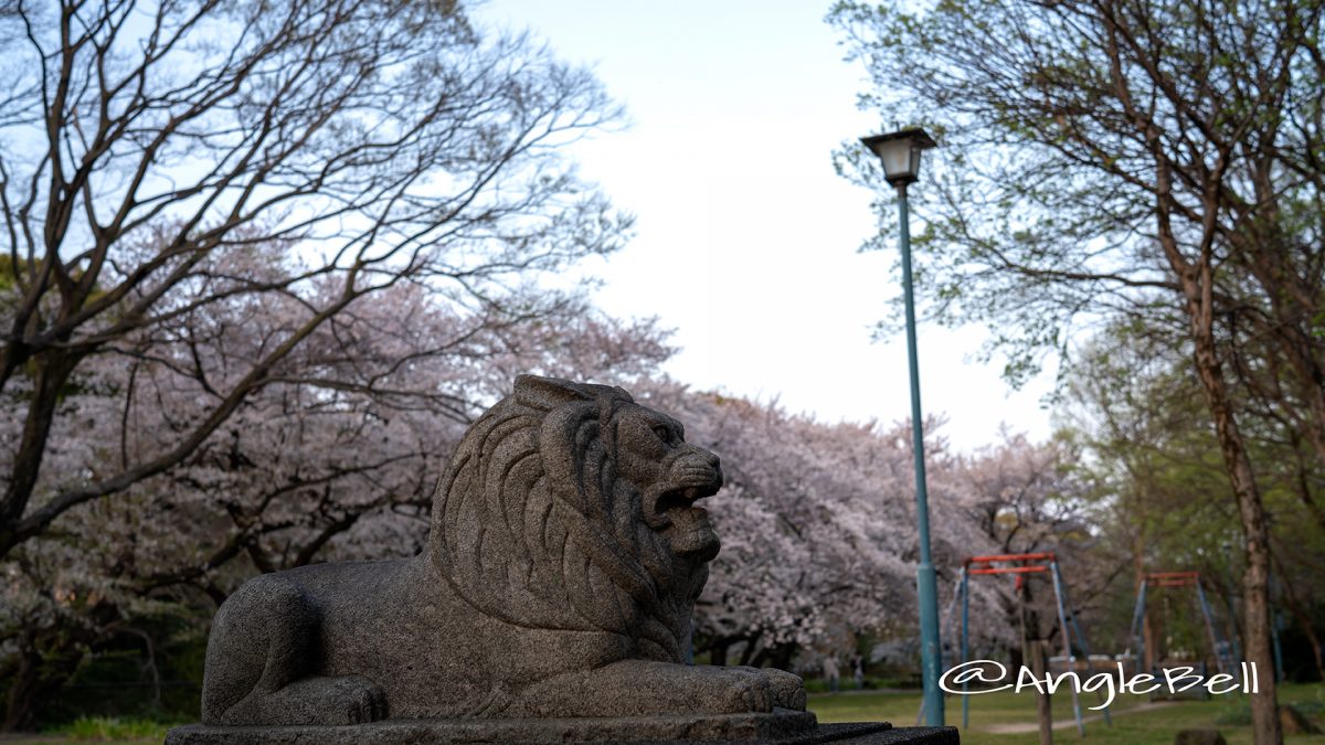 ライオン像 名城公園 ライオンヘルスパーク 桜,2019