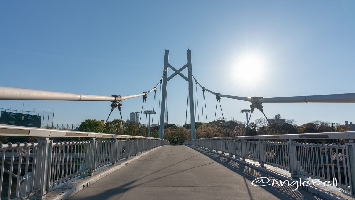 堀川 橋梁 熱田記念橋 （白鳥公園）