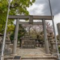 名古屋市中川区 鹽竈神社 2019